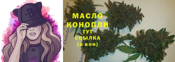 стаф Бородино