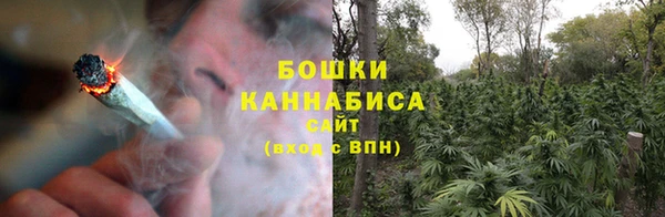 стаф Бородино