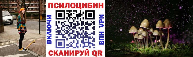 Псилоцибиновые грибы Psilocybine cubensis купить наркоту Спасск-Дальний